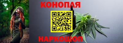 мяу мяу мука Новозыбков