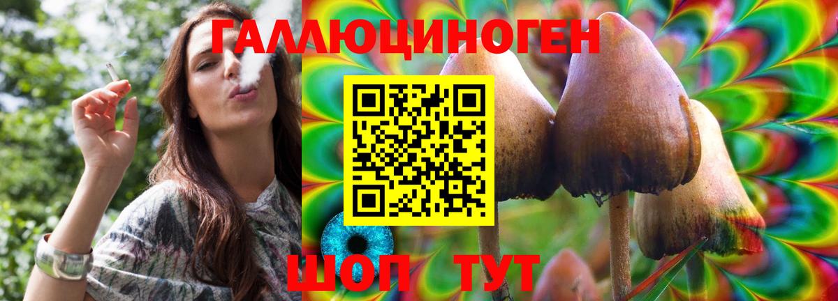 Галлюциногенные грибы Psilocybine cubensis Сосновоборск